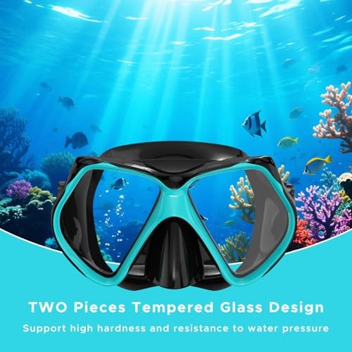 Snorkeling Gear for Adults, Dry Snorkel, Mask Set Adult, Diving Gray+Green