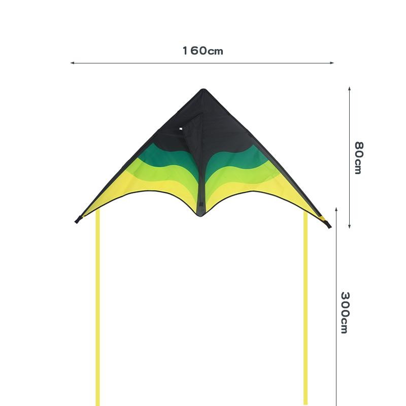 Large Delta Beach Kite for Adults & Kids – Easy to Fly, 100m String Included