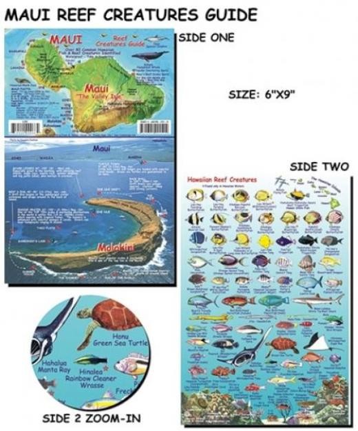 Franko Maps – Maui Reef Fish ID
