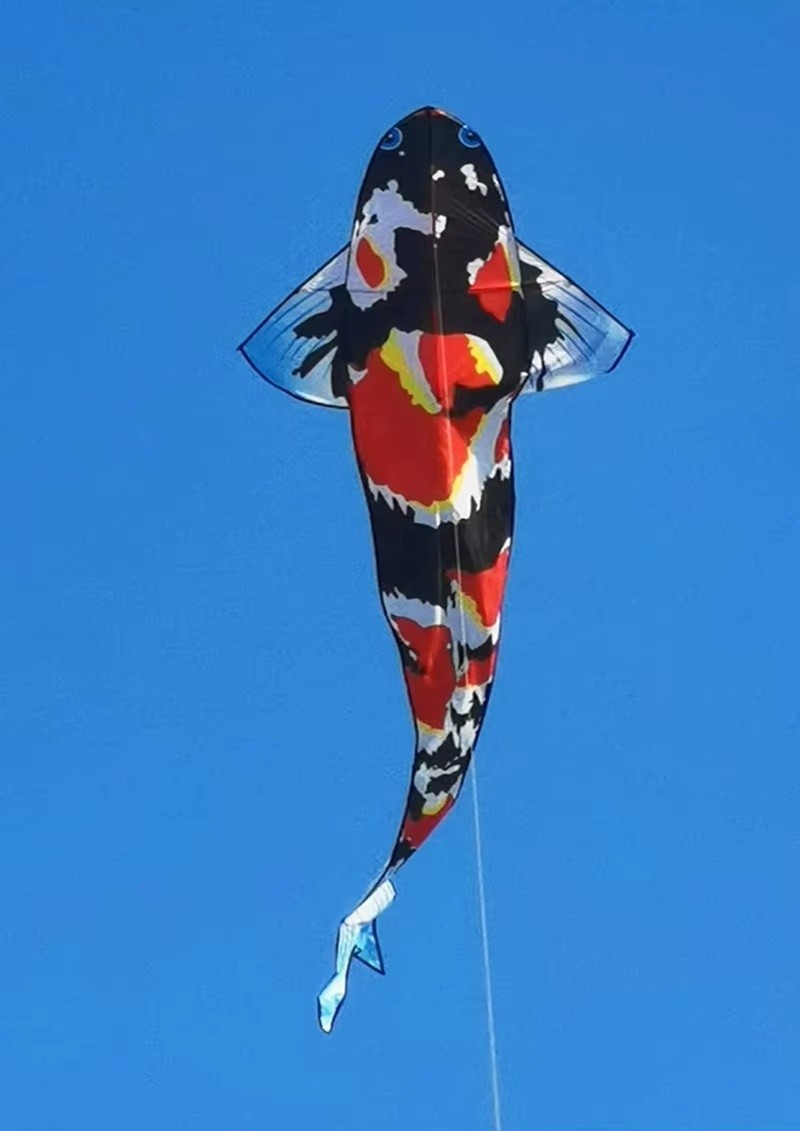 Large Fish Kite w/ 328 ft Handle Line – Ripstop Nylon – Easy Control – New
