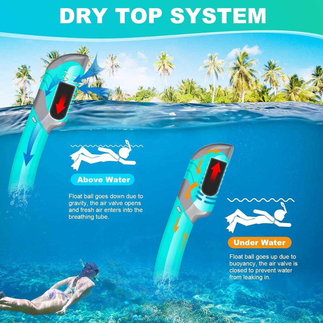 Adult Snorkel Set Mask Anti-Fog Panoramic Tempered Glass Diving Gear