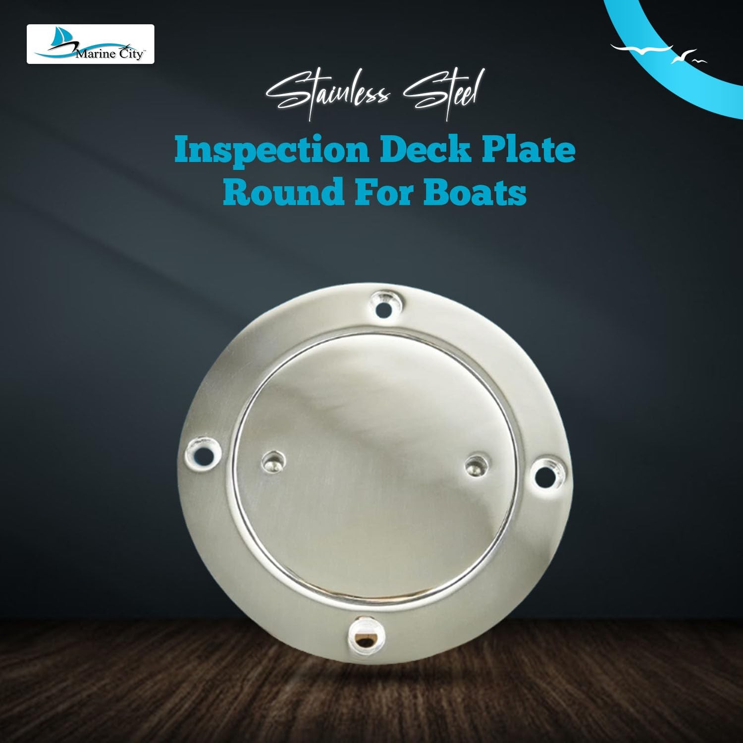 CITY 3-Inch Inspection Deck Plate with Rubber O-Ring, 316 Stainless Steel – D…