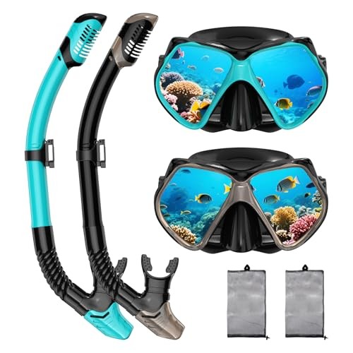 Snorkeling Gear for Adults, Dry Snorkel, Mask Set Adult, Diving Gray+Green