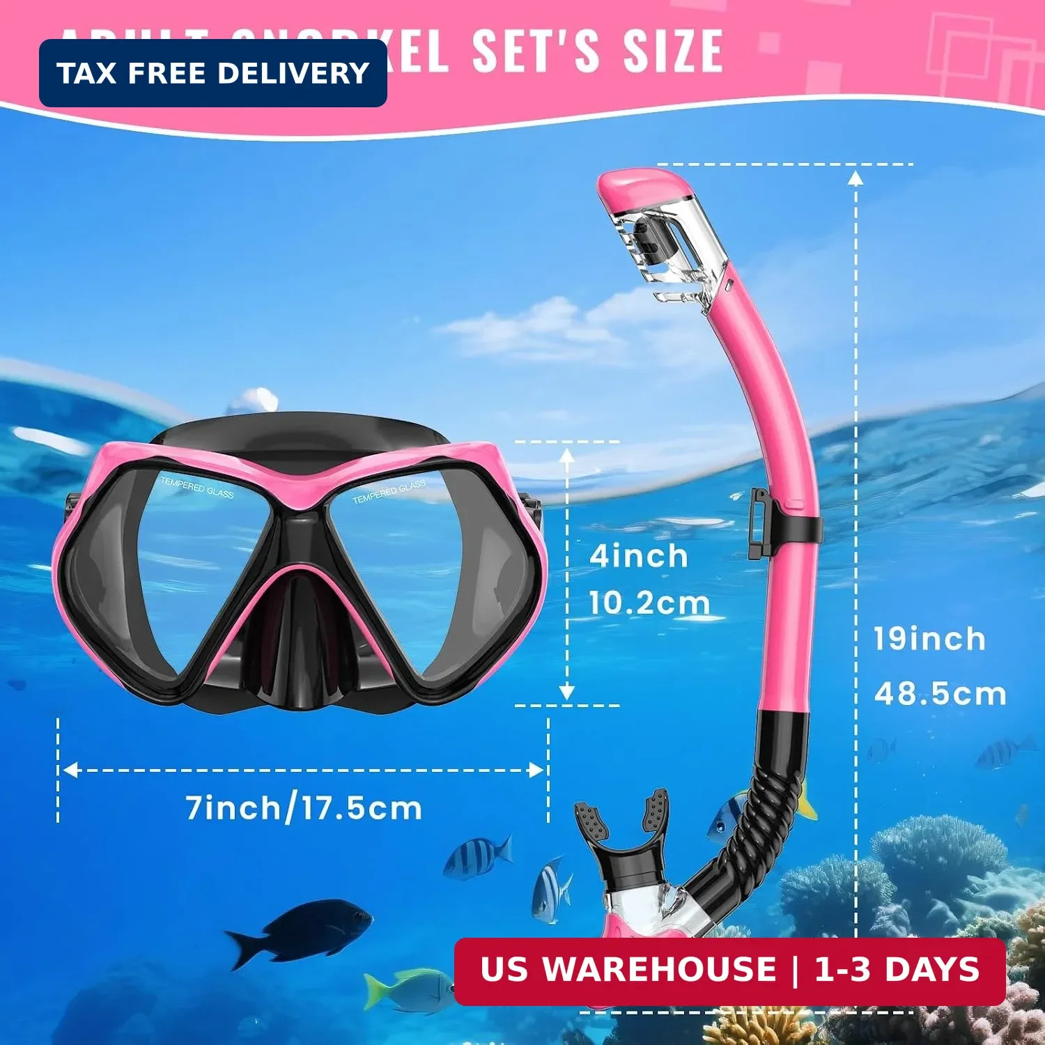 Adult Snorkeling Gear Set Dry Top Mask Anti Fog Goggles HD Tempered Glass Travel