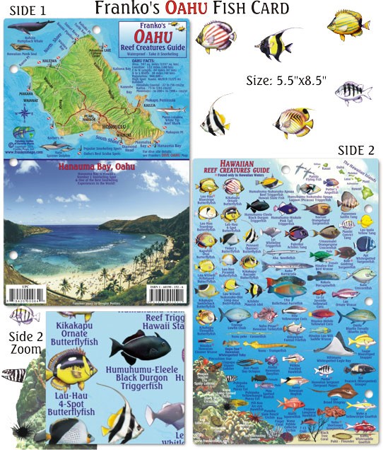 Franko Maps – Oahu Reef Fish ID