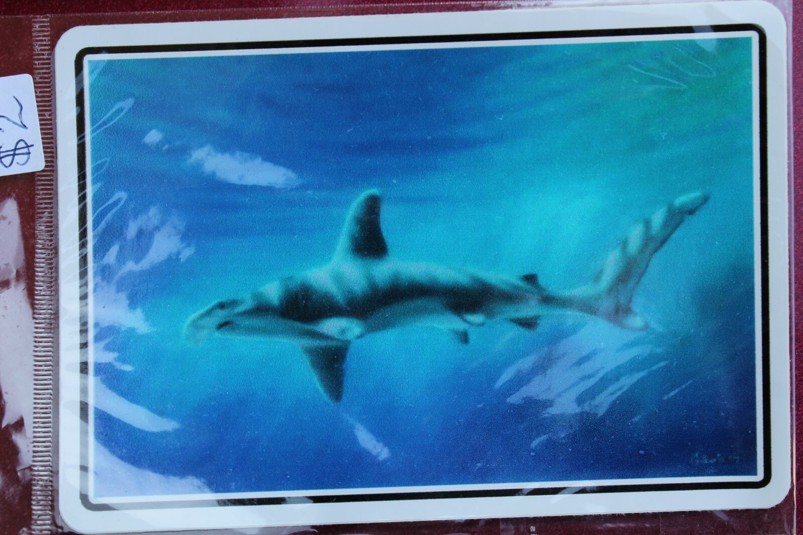 Shark Great White Surf Art Ocean Carnivore Teeth V16b Vintage Surfing STICKER