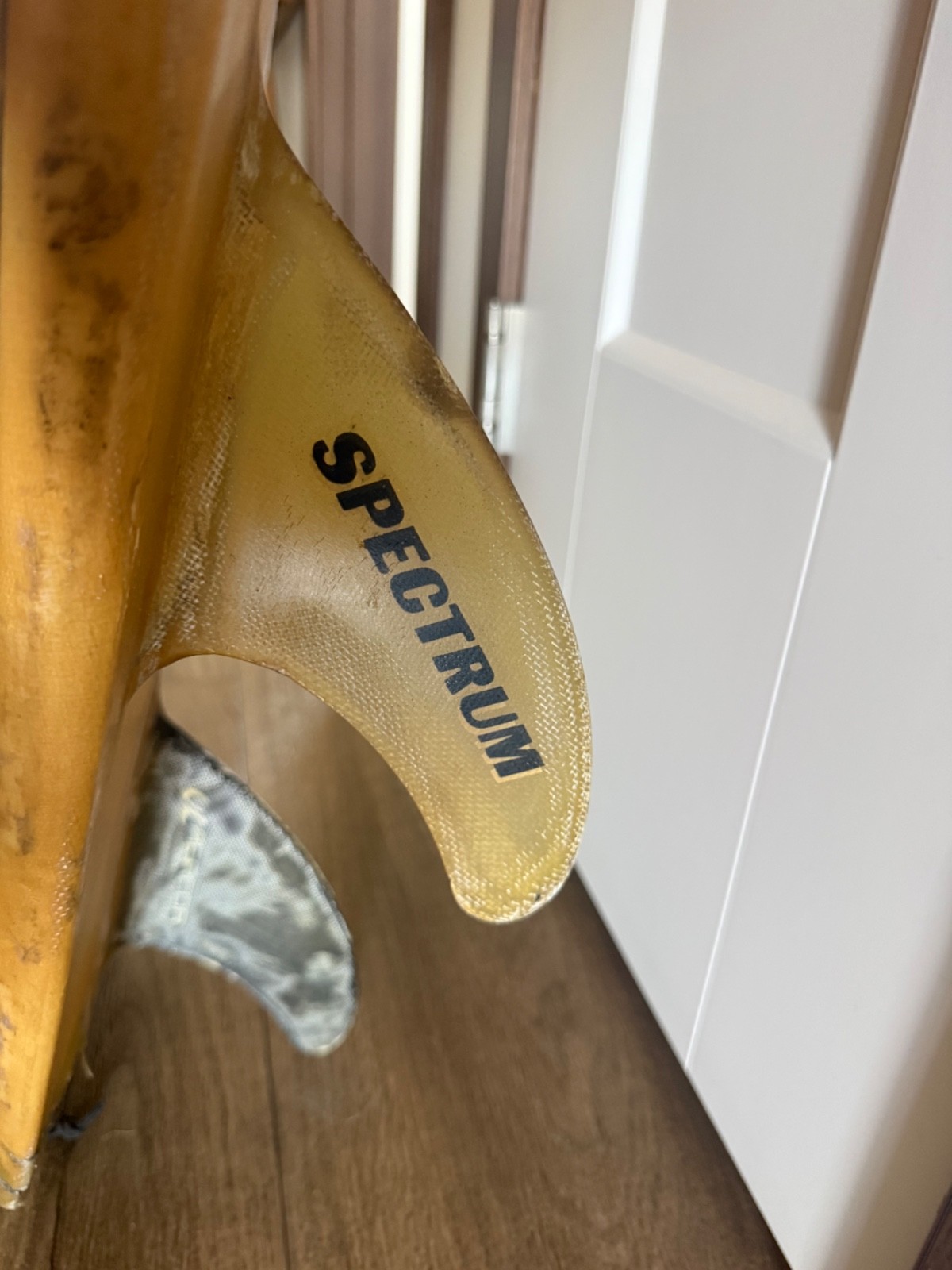 Spectrum Surfboard Vintage