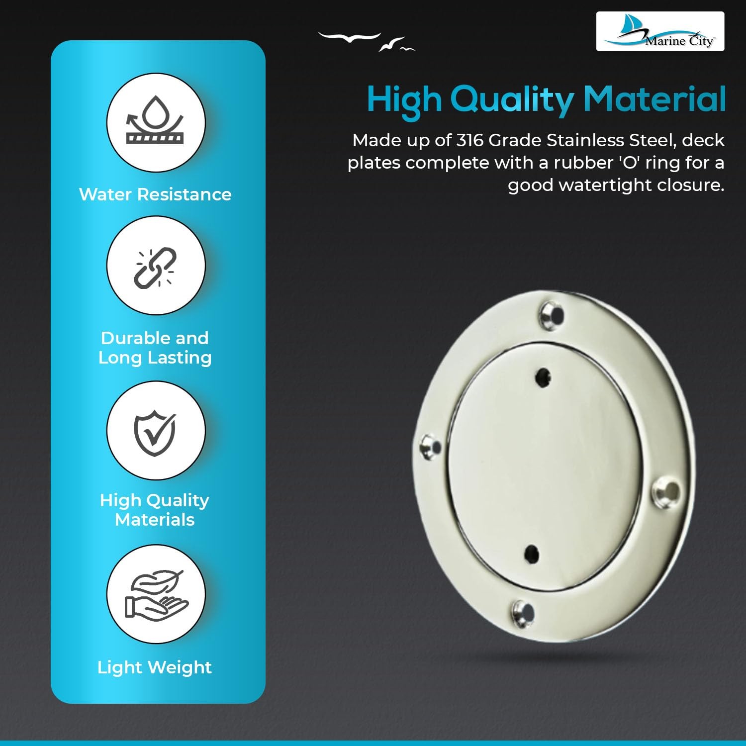 CITY 3-Inch Inspection Deck Plate with Rubber O-Ring, 316 Stainless Steel – D…