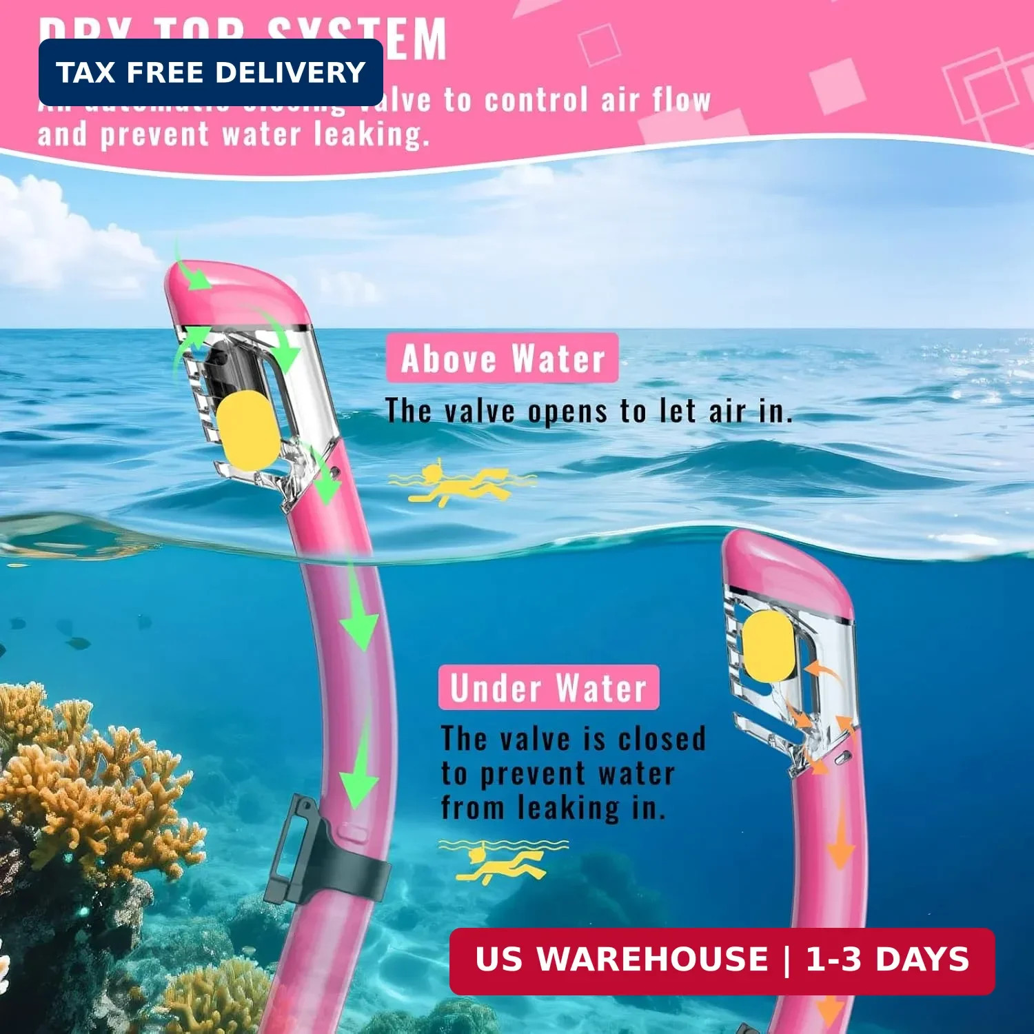 Adult Snorkeling Gear Set Dry Top Mask Anti Fog Goggles HD Tempered Glass Travel