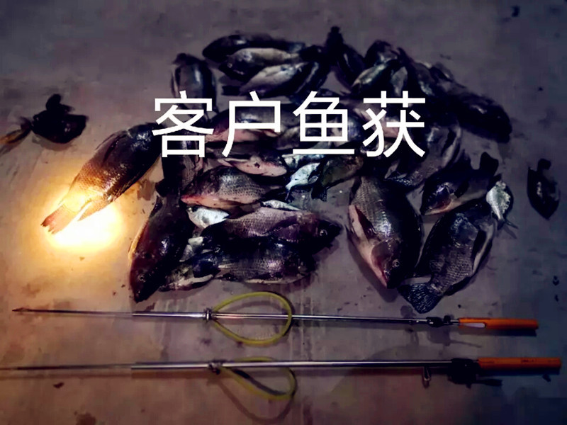 1Pc Stainless Steel Rubber Band Ejection Fish Gun Diving Guns
