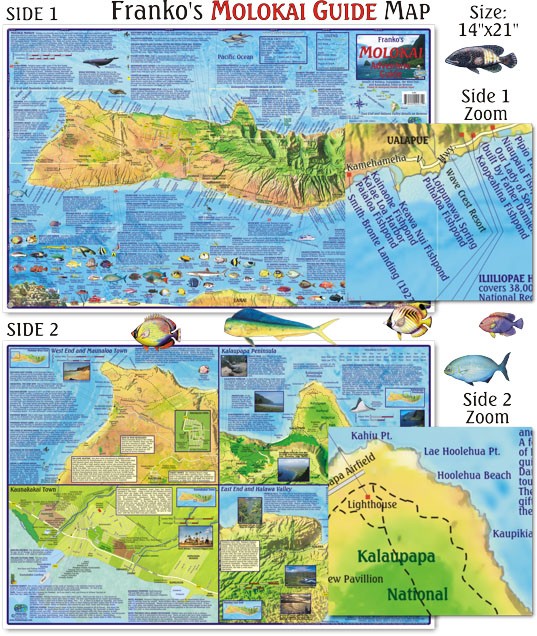 Franko Maps – Molokai Guide Map