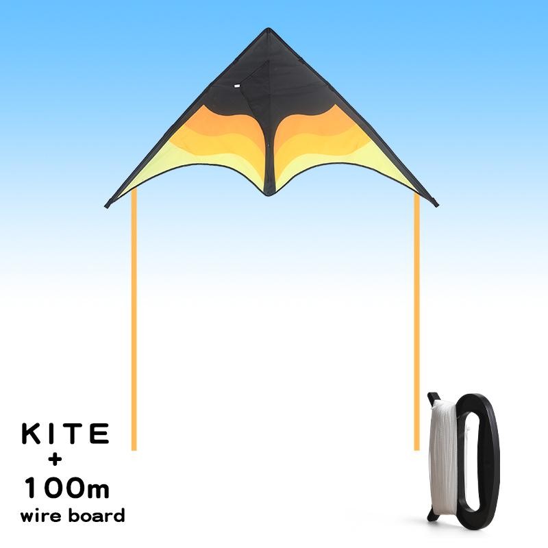 Large Delta Beach Kite for Adults & Kids – Easy to Fly, 100m String Included