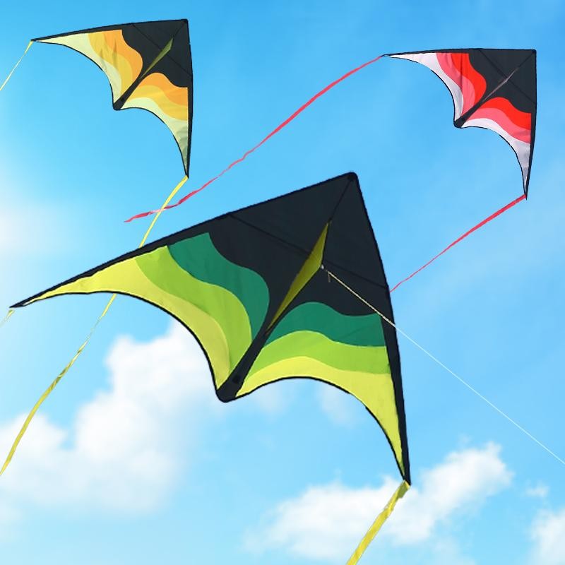 Large Delta Beach Kite for Adults & Kids – Easy to Fly, 100m String Included