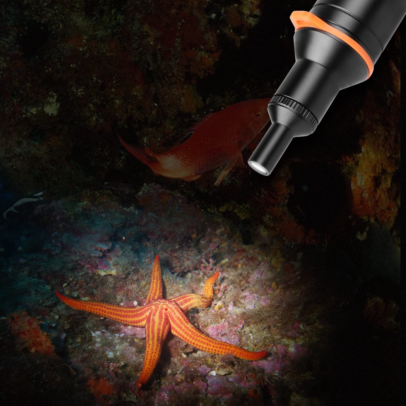D530V Aluminum Diving Video Light Snoot Underwater Torch Macro Photography