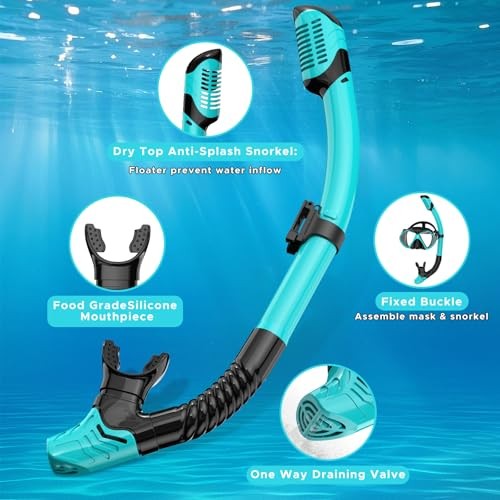 Snorkeling Gear for Adults, Dry Snorkel, Mask Set Adult, Diving Gray+Green
