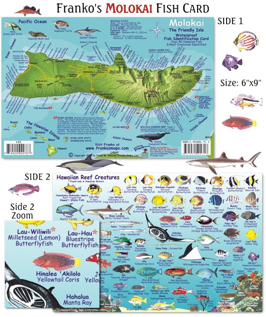 Franko Maps – Molokai Reef Fish ID