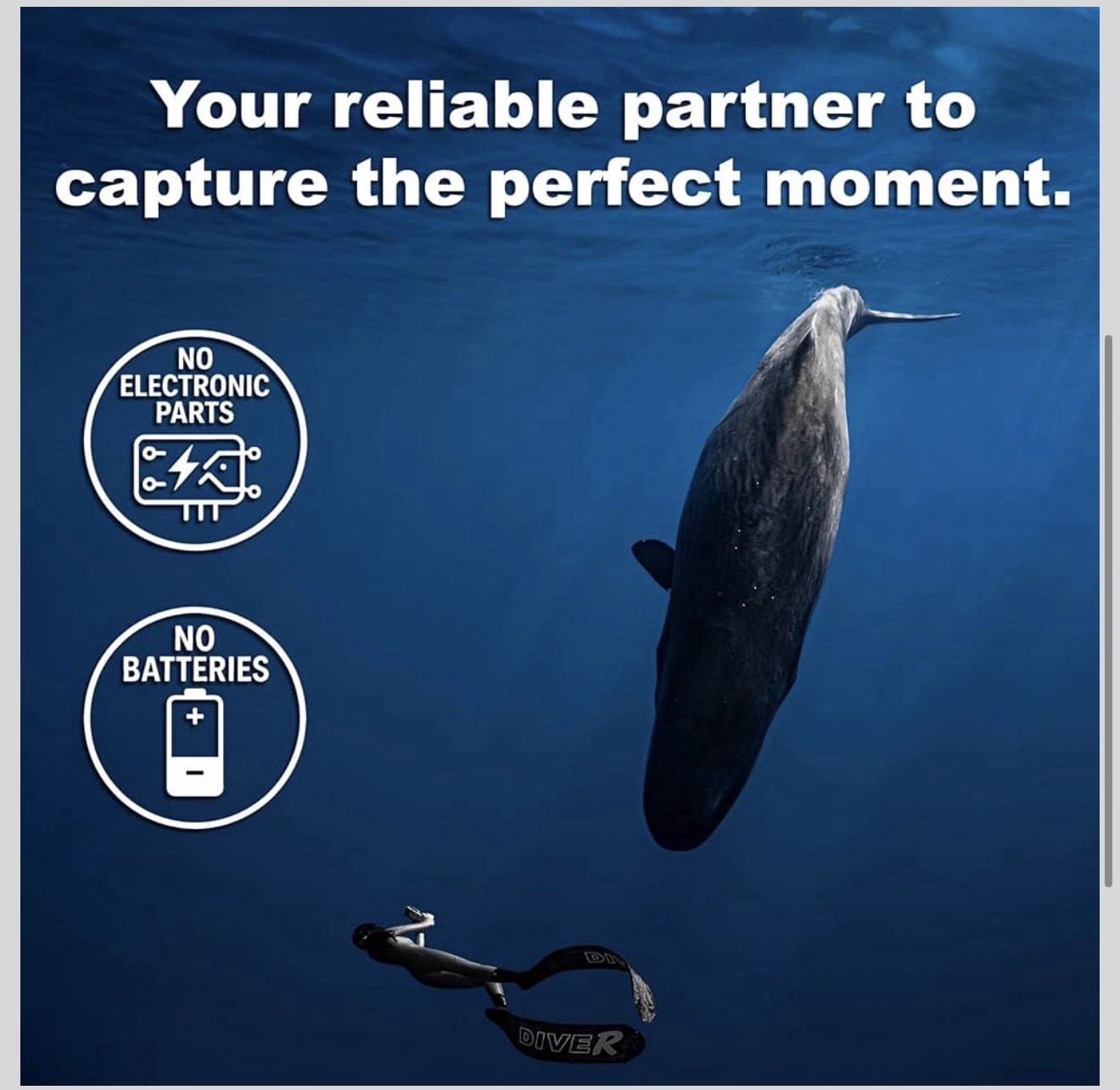 DIVEVOLK SeaTouch 4 Max Underwater Smartphone Housing – iPhone 12/13/14/15/16