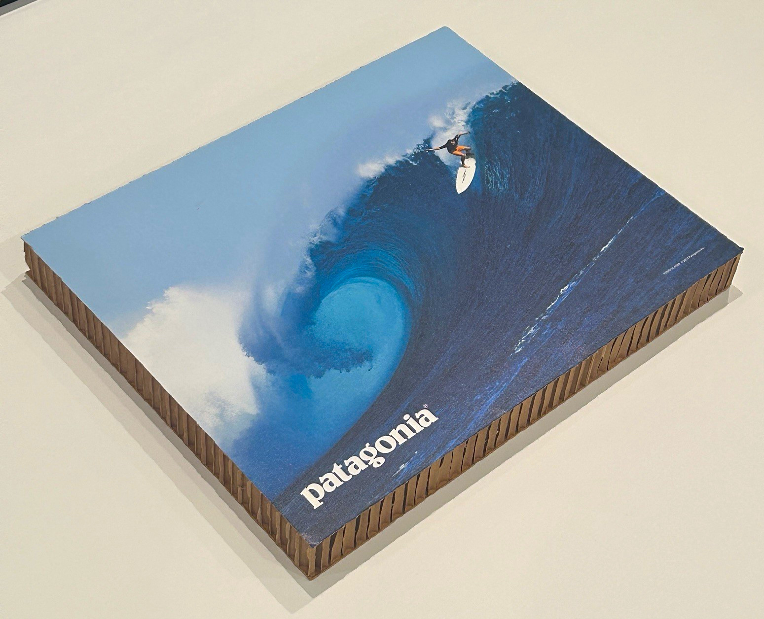 RARE – Patagonia Todd Glaser Surfing Wave Poster/Print Wall Art 16x20x2in
