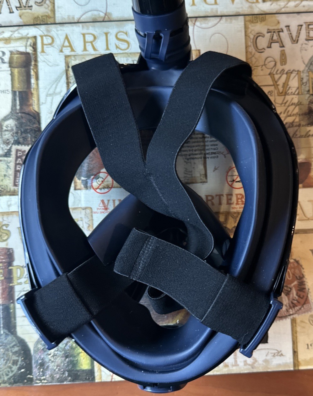 G2 Full Face Snorkel Mask with Latest Dry Top System,Foldable 180 XL