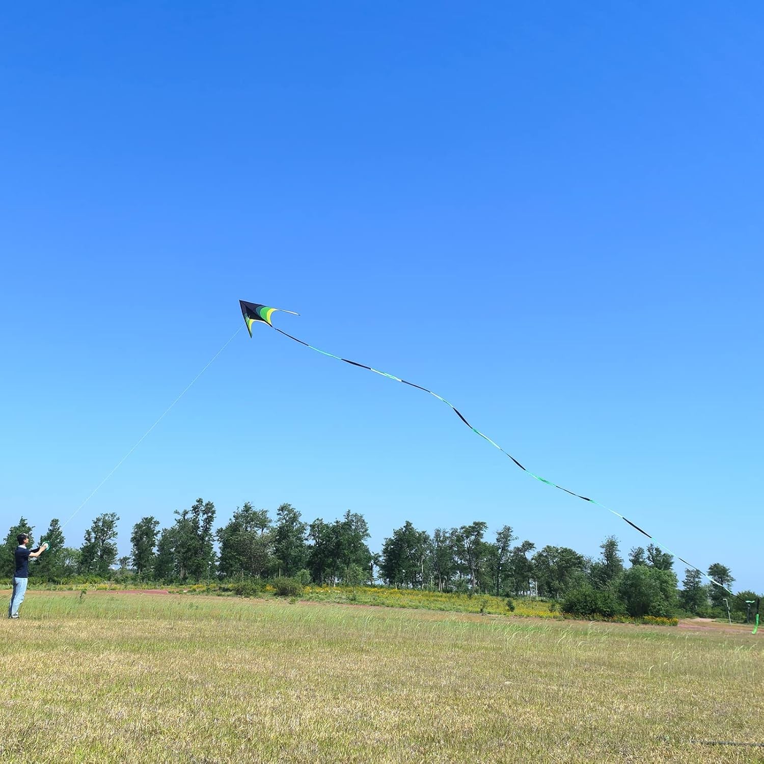 110” Delta Kite for Adults Easy to Fly Best for Beginners with 98ft Tail