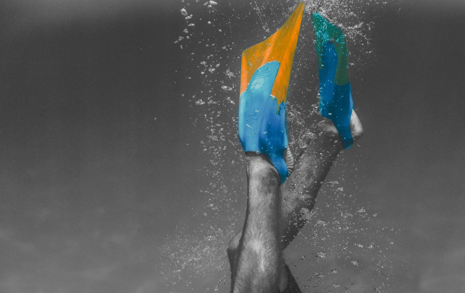Churchill Makapuu Swim Fins – 2026 – Yellow/Blue, ML (9-10.5 US)