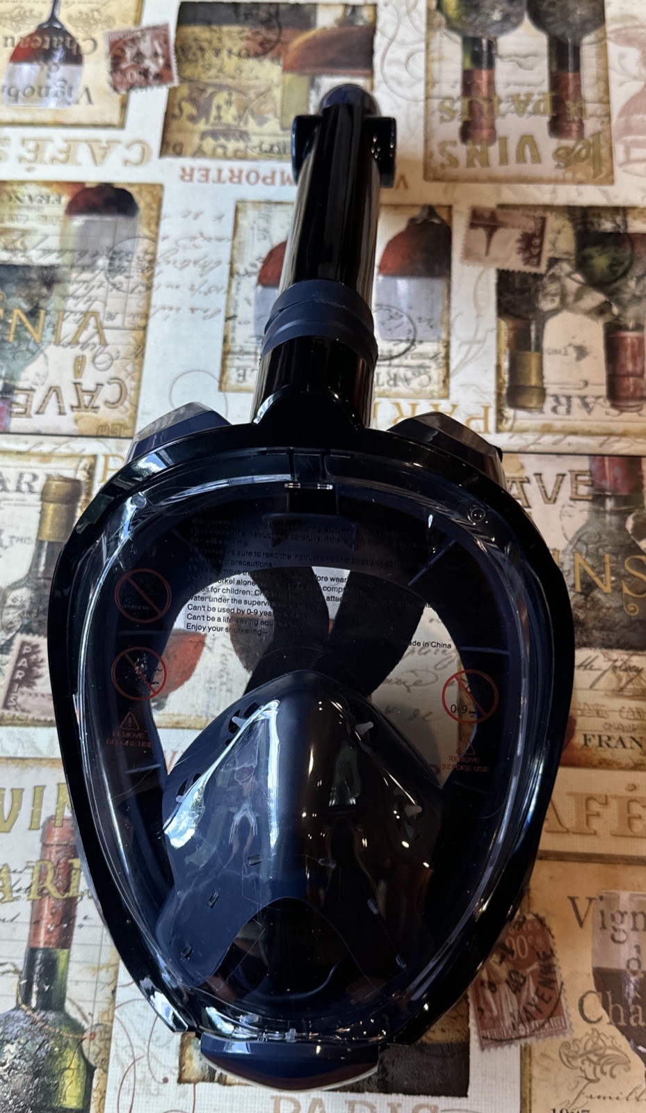 G2 Full Face Snorkel Mask with Latest Dry Top System,Foldable 180 XL