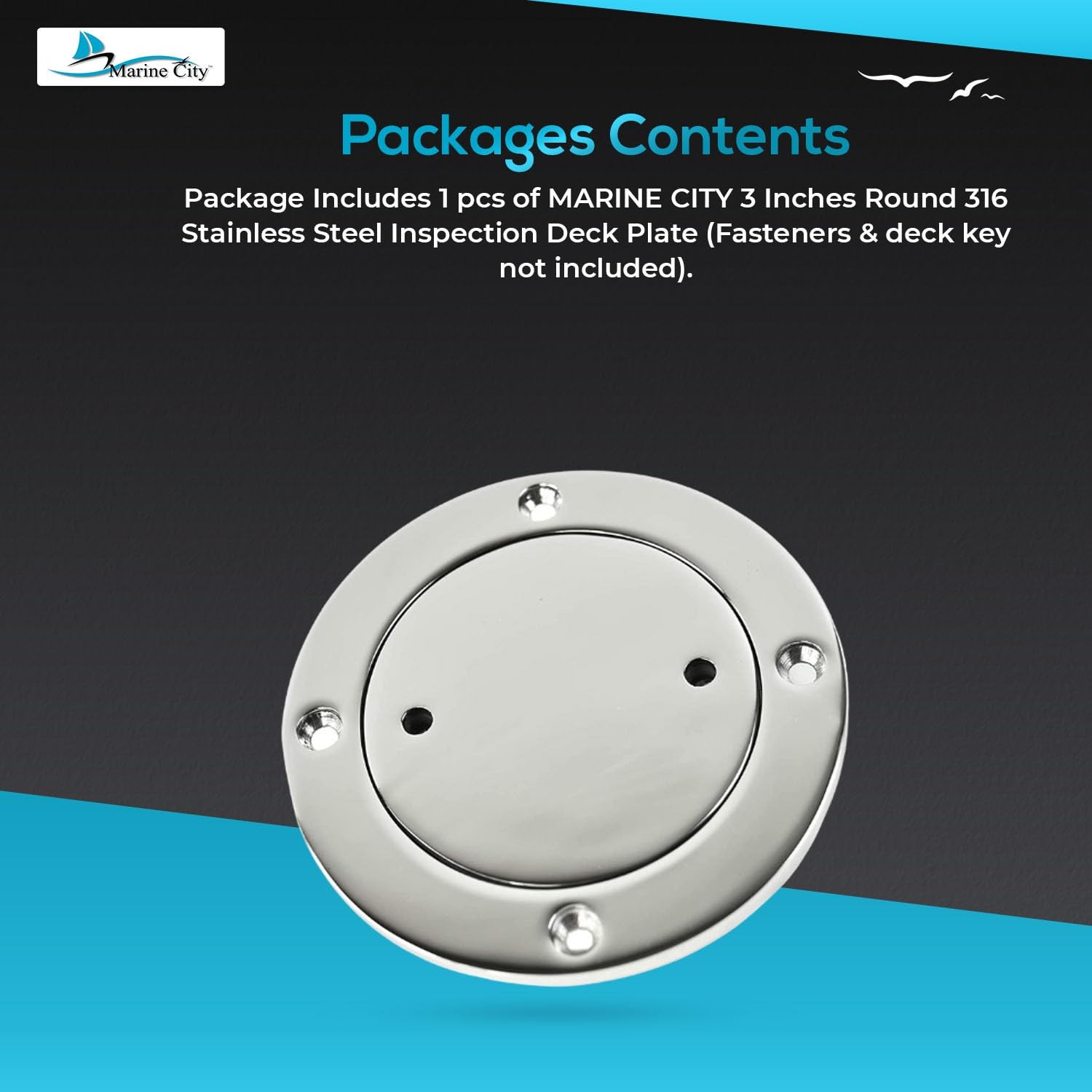 CITY 3-Inch Inspection Deck Plate with Rubber O-Ring, 316 Stainless Steel – D…
