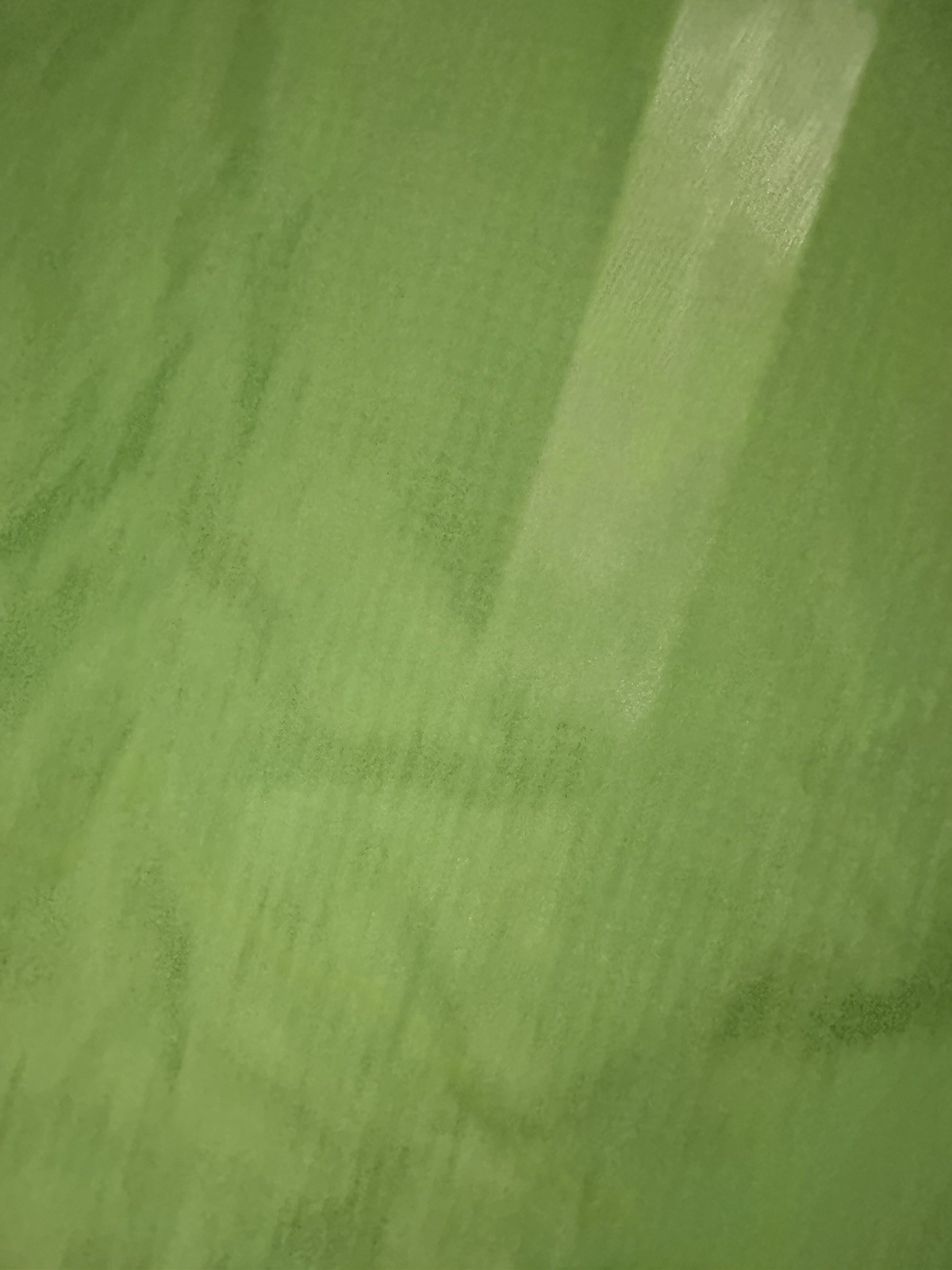 Slingshot Slingwing V2 5.4m Wingfoil Sling Shot Green
