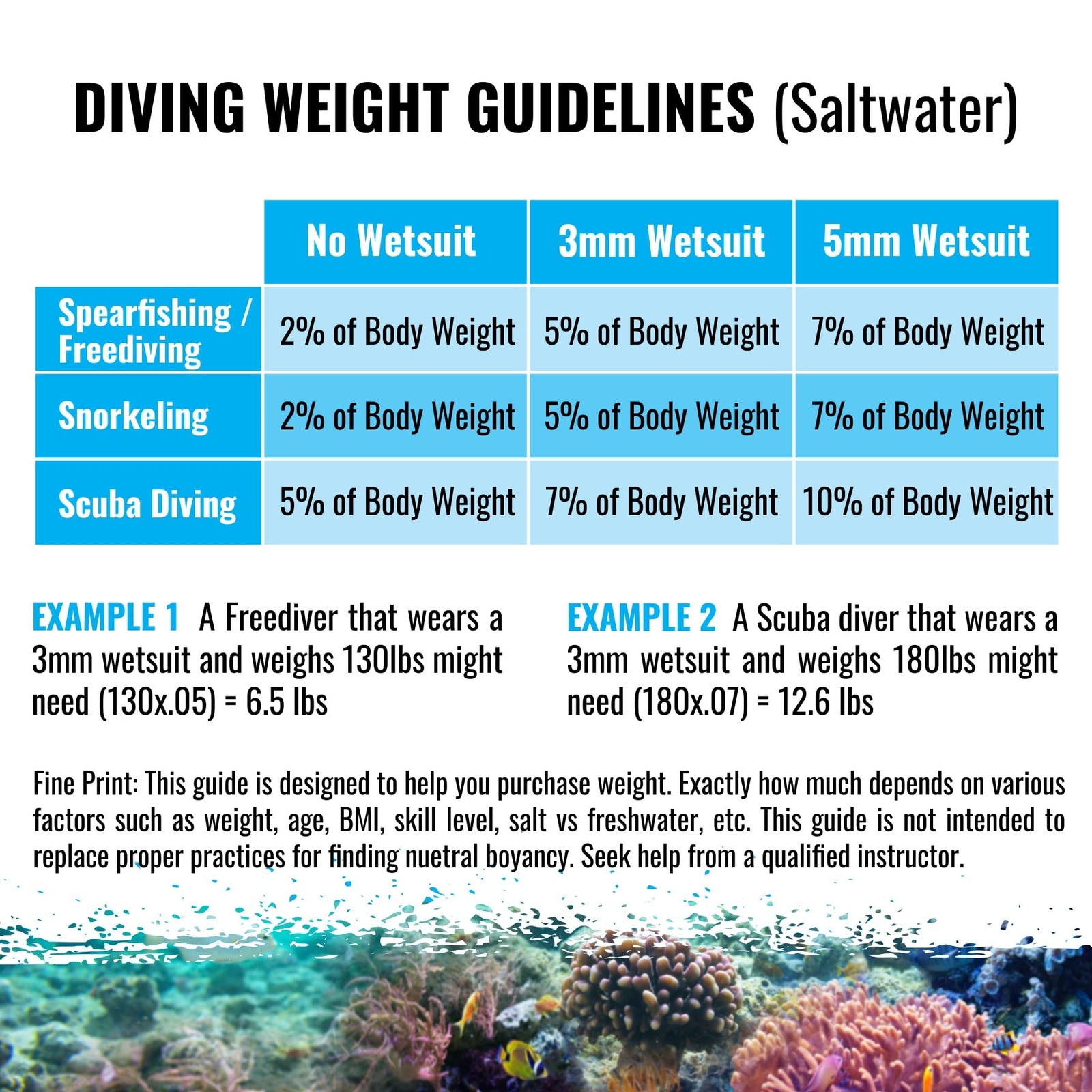AQUATIC – Dive Weights – 1.1lb or 2.2lb or 3.3lb 0.5Kg or 1Kg or 1.5Kg – Coat…