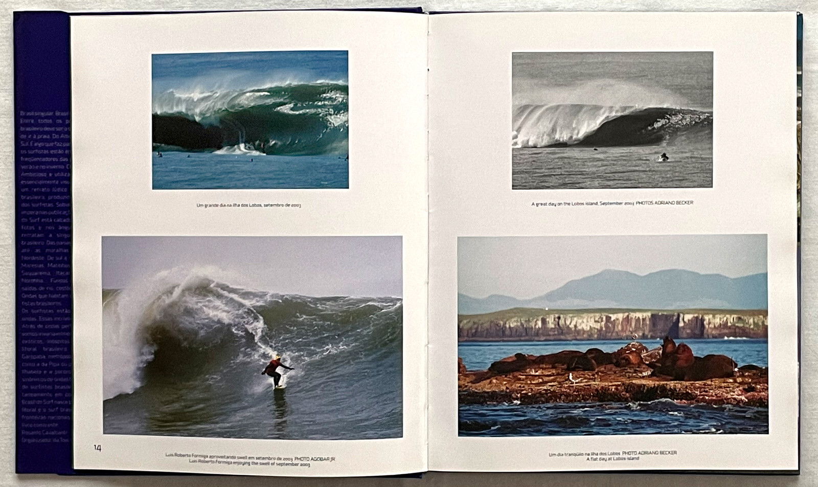 Brazil In Surf/ O Brasil Do Surf. In English And Portuguese- 2004