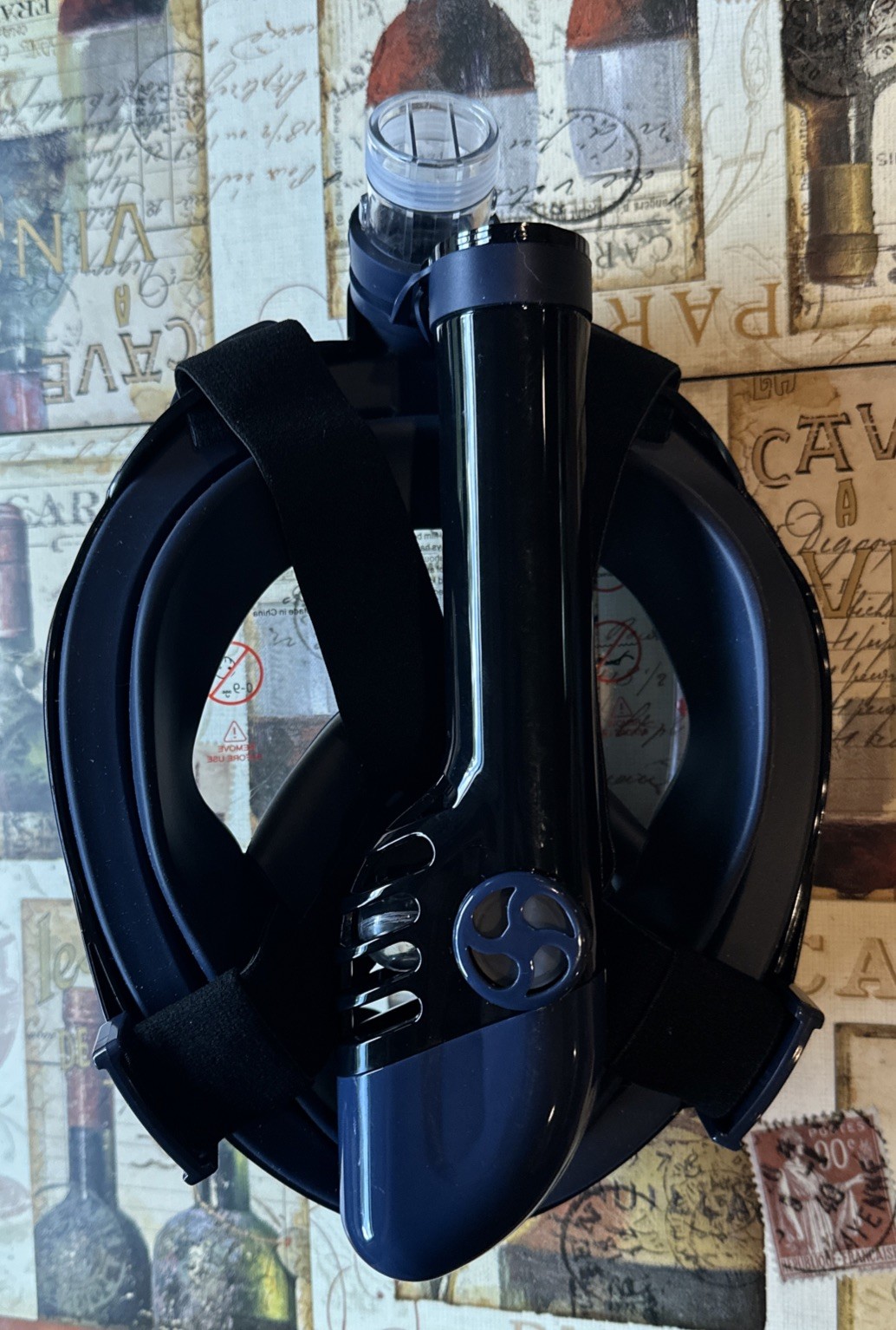 G2 Full Face Snorkel Mask with Latest Dry Top System,Foldable 180 XL