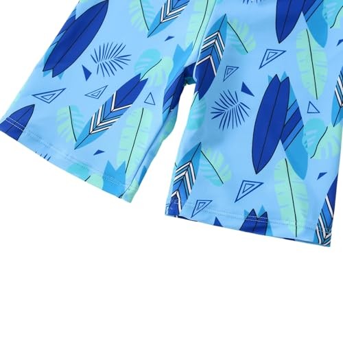 Toddler Swimsuit Boy 3 Piece Boys Swim Set Short Sleeve Boys 2-3T Dinosaur B