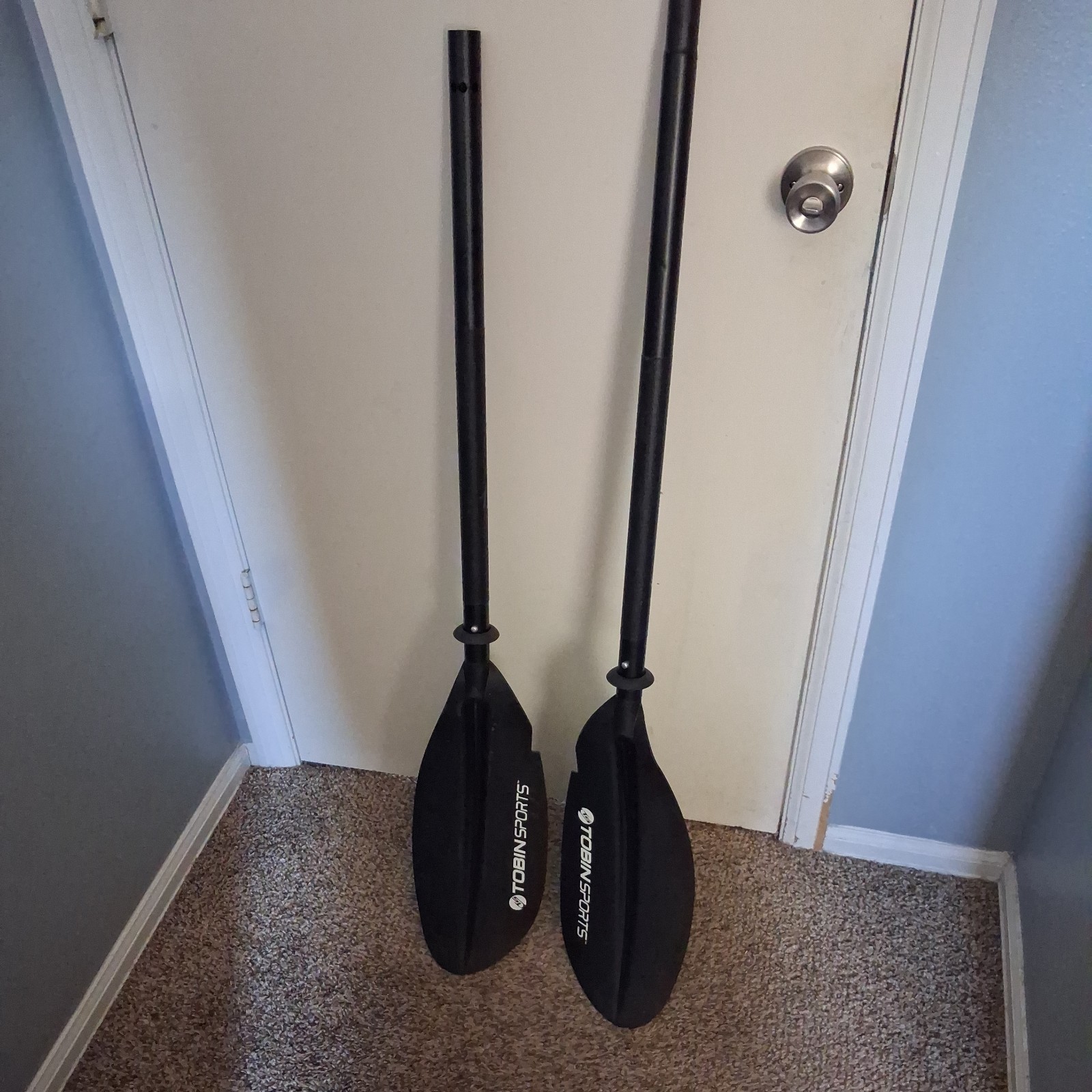 Kayak Paddle