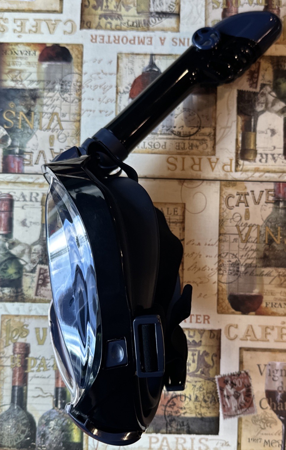 G2 Full Face Snorkel Mask with Latest Dry Top System,Foldable 180 XL