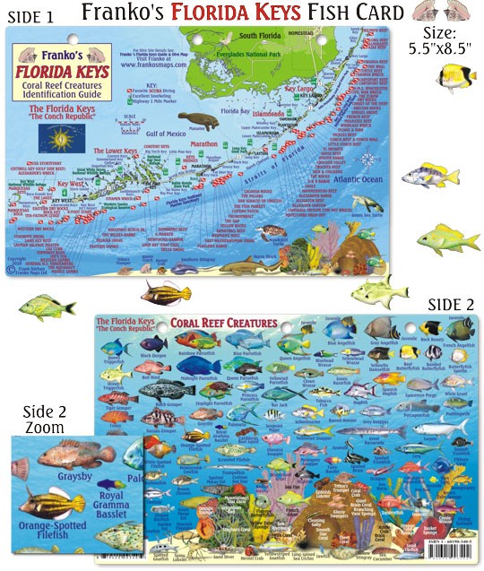Franko Maps – Florida Keys Reef Creatures Fish ID