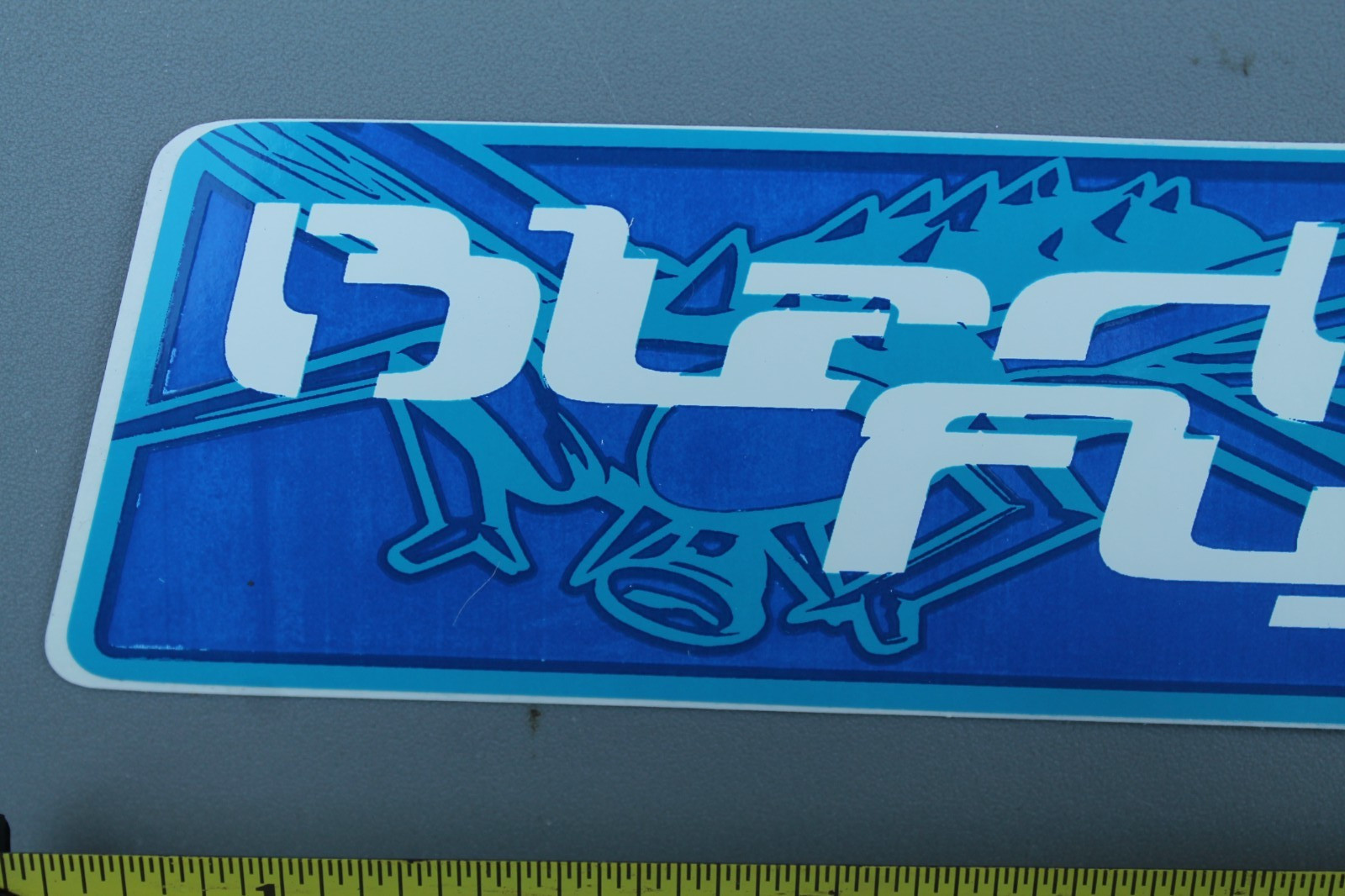 BLACK FLYS Sunglasses Blue White Punk Graffiti Fly BF3 Vintage Surfing STICKER