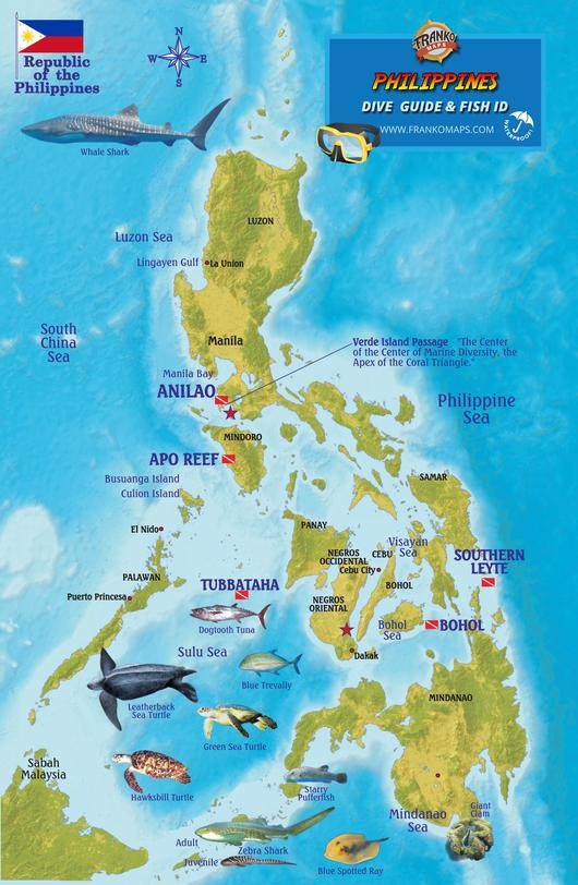 Franko Maps – Philippines Dive Guide & Fish ID