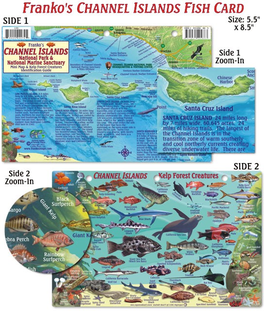Franko Maps – Channel Islands Fish ID