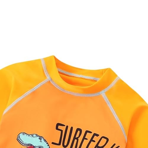 Toddler Swimsuit Boy 3 Piece Boys Swim Set Short Sleeve Boys 2-3T Dinosaur B