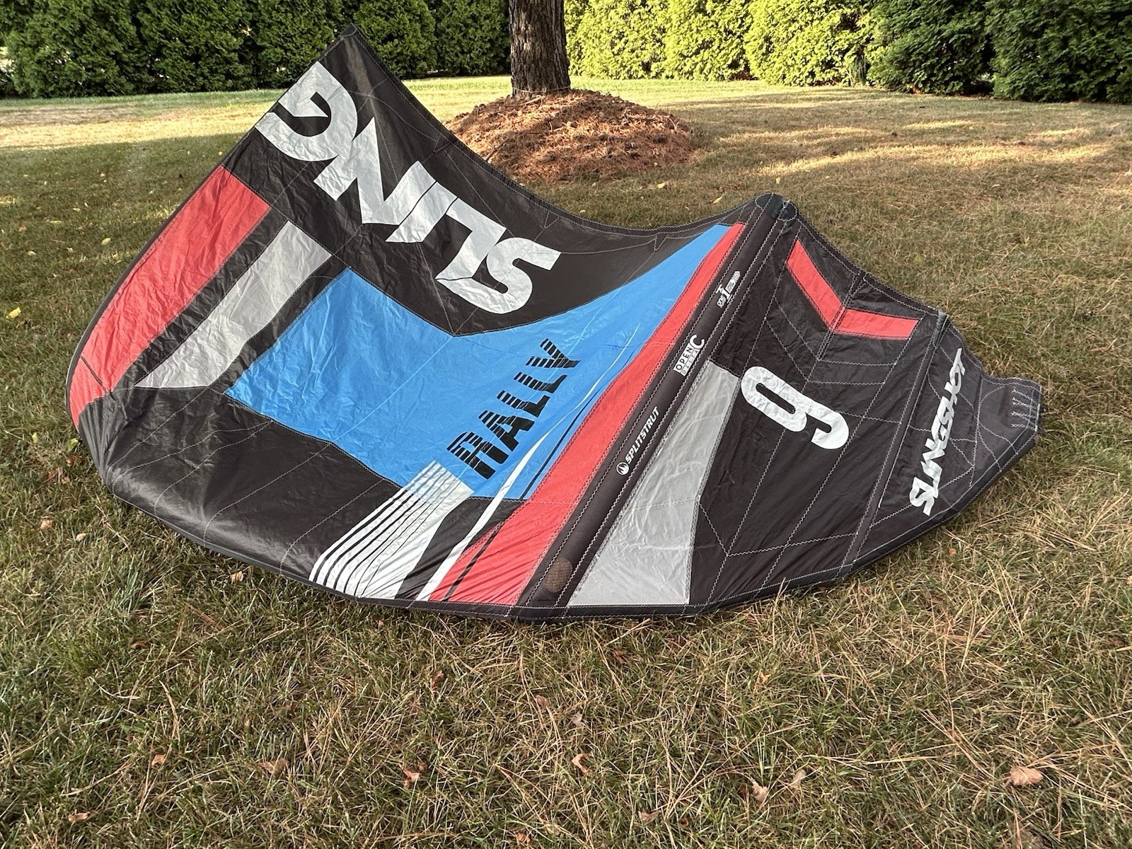 Slingshot Rally 2017 Kitesurfing Kite 9m w/Bag Excellent condition